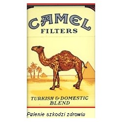 Papierosy Camel 24 g.