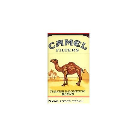 Papierosy Camel 24 g.